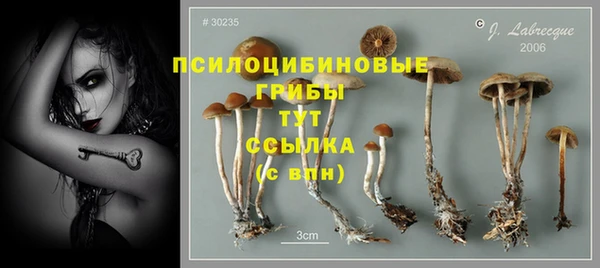 спайс Абинск