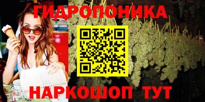 индика Усть-Джегута