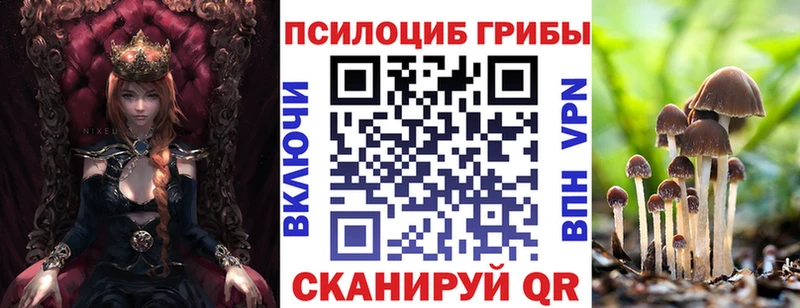 Псилоцибиновые грибы Magic Shrooms  где можно купить наркотик  кракен ссылки  Новокузнецк 