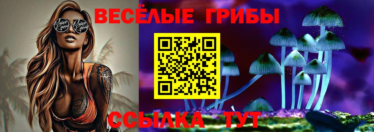 Галлюциногенные грибы мицелий Новокузнецк